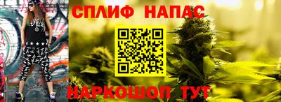 стаф Заволжье