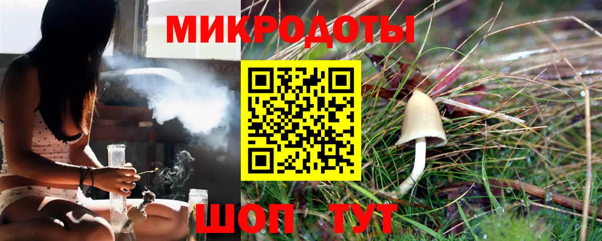 Псилоцибиновые грибы GOLDEN TEACHER  Вход с VPN  где можно купить наркотик  Новокуйбышевск  Галлюциногенные грибы мухоморы 